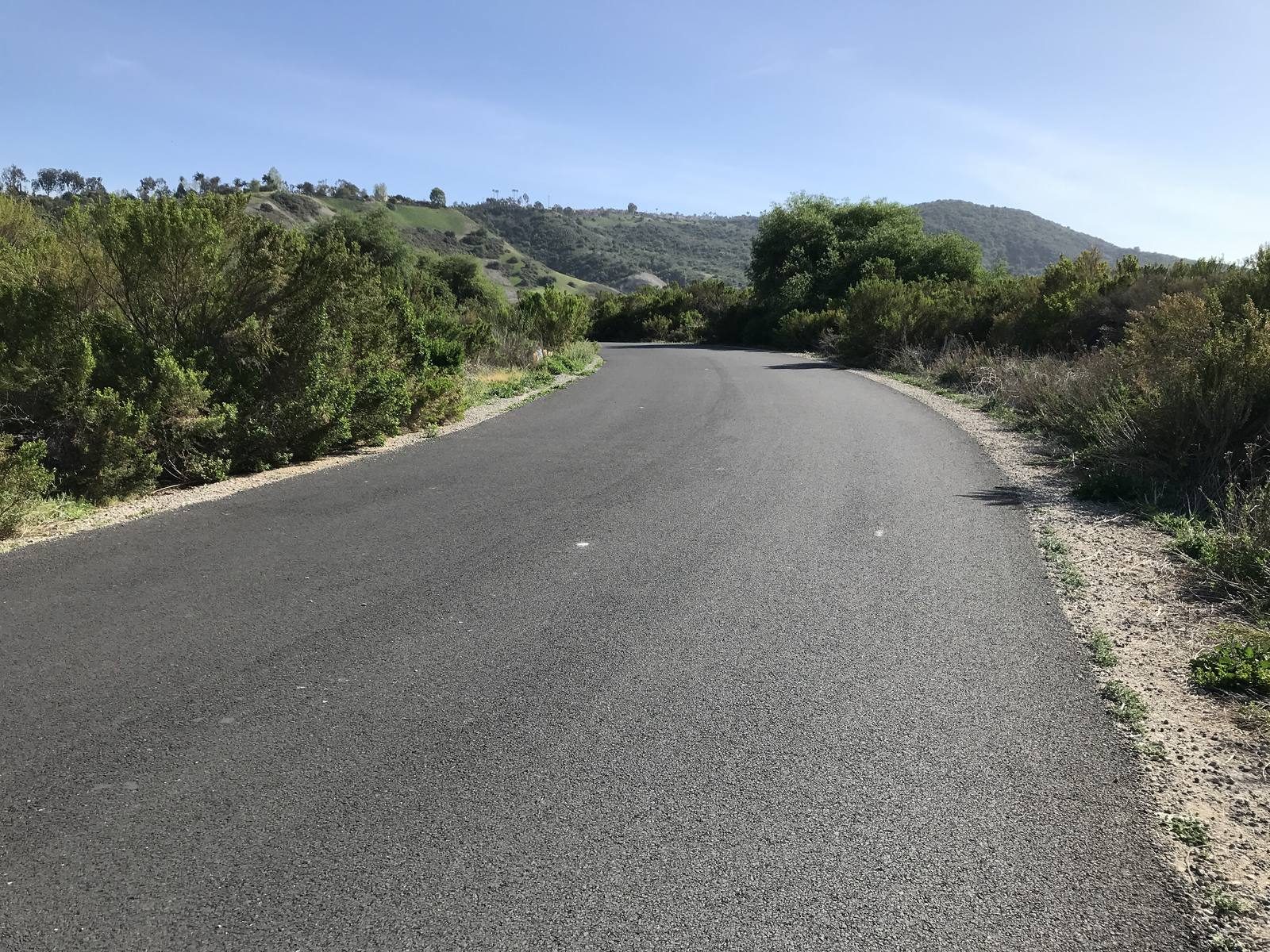 A paved trail winds through chaparral in Aliso and Wood Canyons Wilderness Park.