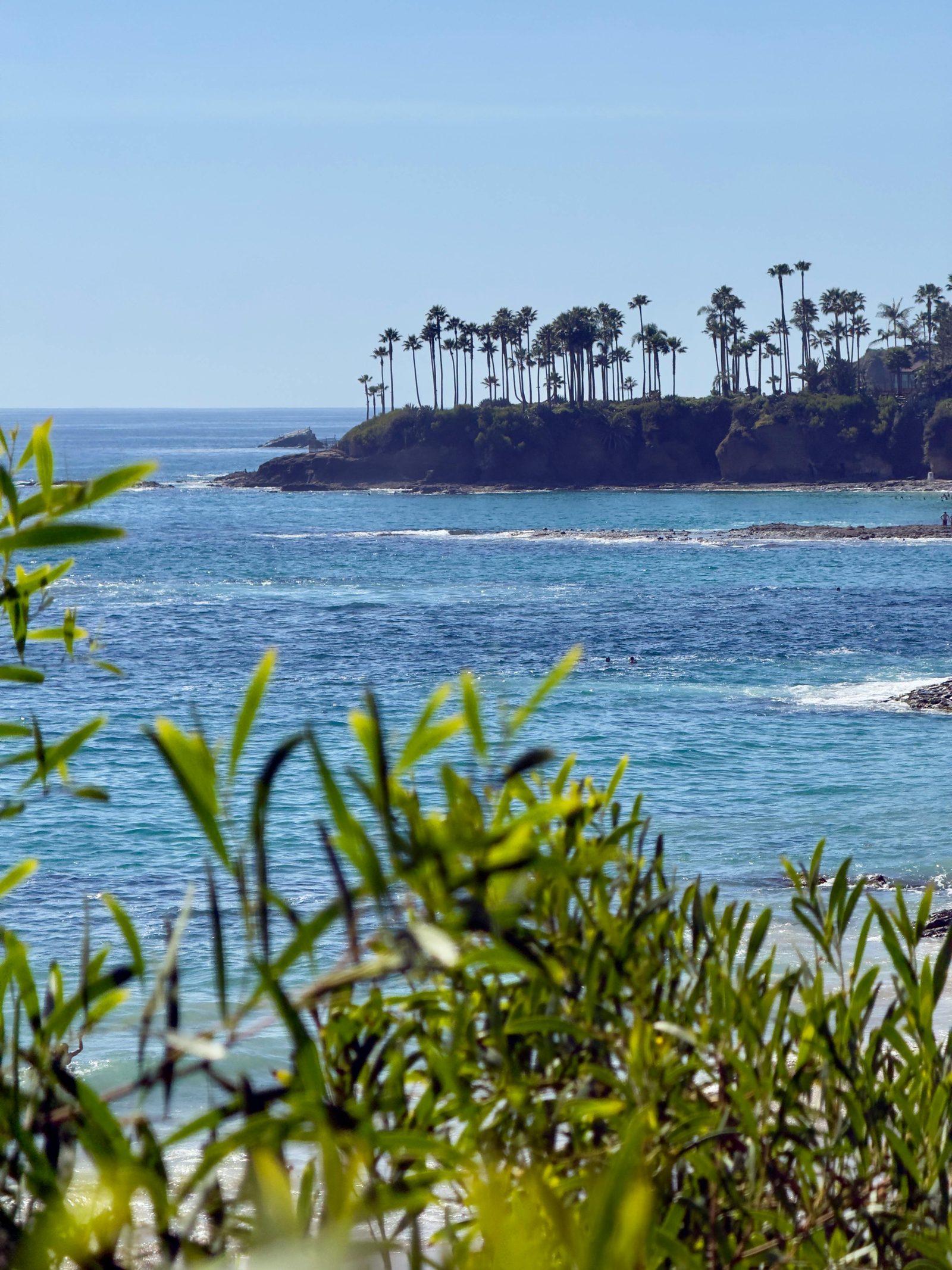 A palm-topped headland on the Laguna Beach coast. The contested 1981 inventory listed more than 700 pre-1940 homes and structures across the city.