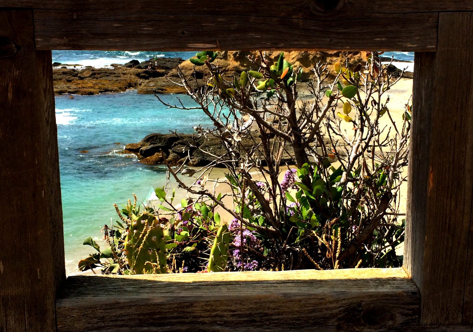 A cove on the Laguna Beach coast seen through a wooden fence. The ruling orders the city to set aside its approvals pending an environmental impact report or a mitigated negative declaration.