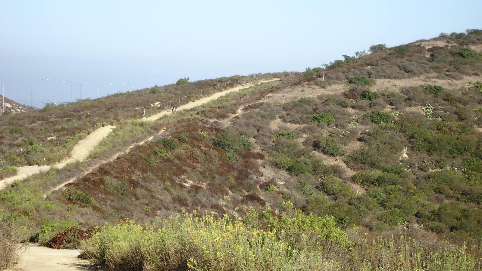 A trail winding through the coastal sage scrub hills of Laguna Coast Wilderness Park, the open space at the center of the forum's environmental debate.