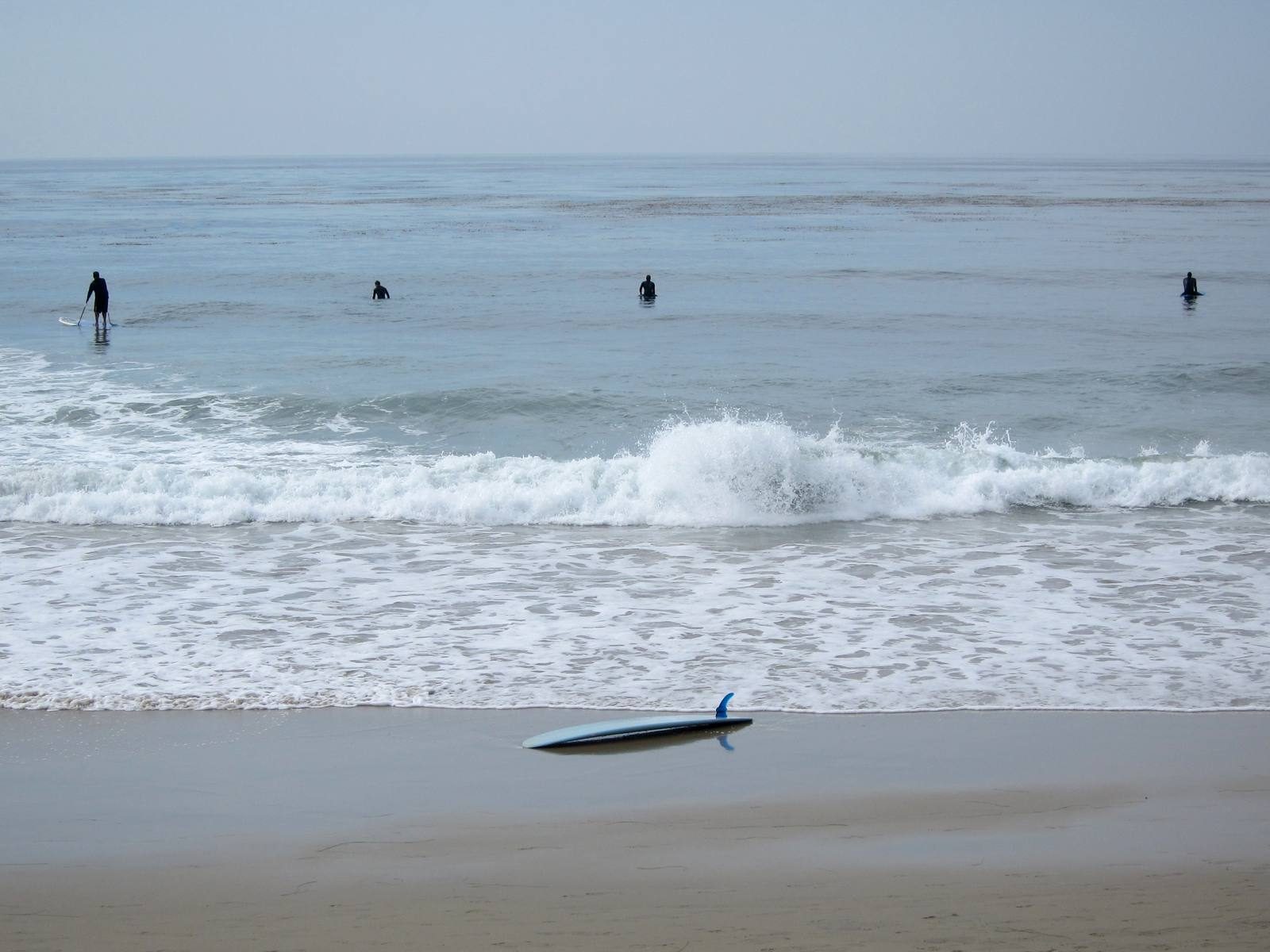 Surfers in the lineup at Laguna Beach.