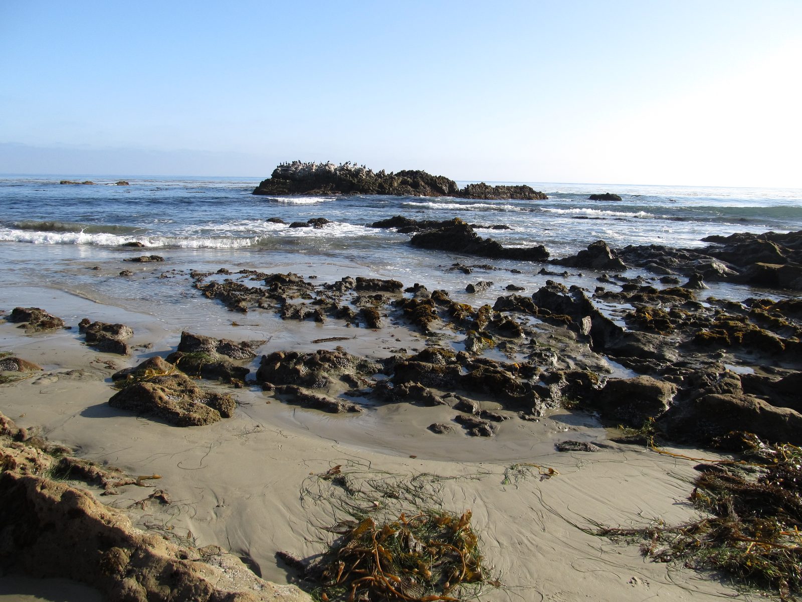 Bird Rock off the Laguna Beach coast, in the marine habitat the Coastal Commission is charged with protecting.