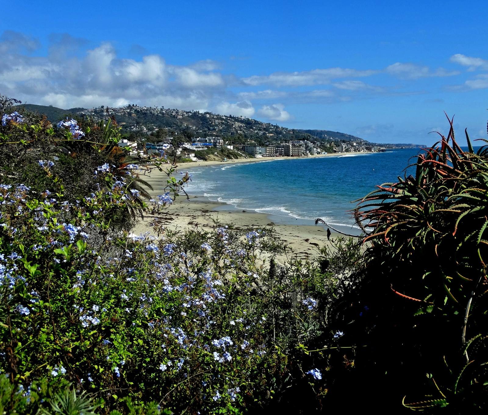 The Laguna Beach coastline seen from a coastal overlook.