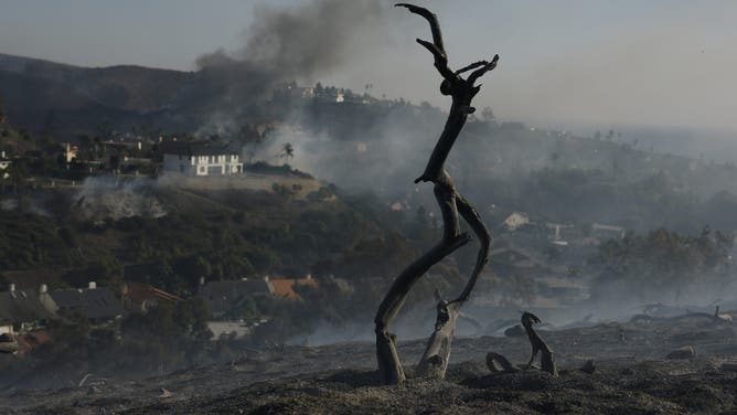 A burned tree stands over scorched ground above San Juan Capistrano, with smoke still rising after the fire moved through on Friday. The burned area held at 570 acres through Saturday.