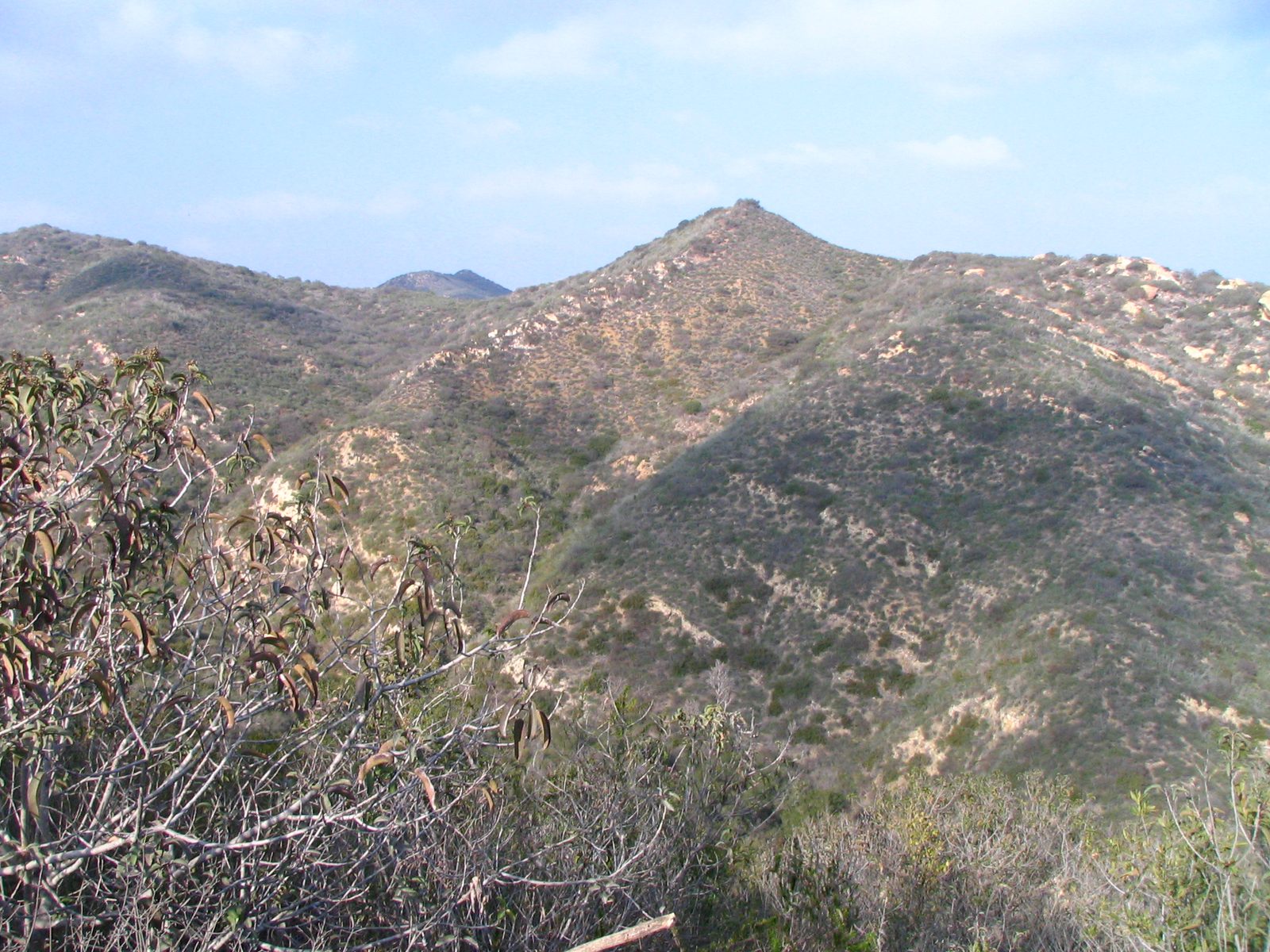 The Laguna Canyon hills behind the Festival of Arts grounds, home to the Pageant of the Masters.
