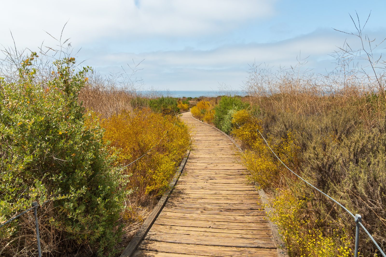 A boardwalk trail crosses the blufftop at Crystal Cove State Park. Caltrans crews inspected the bluff below PCH on Tuesday after the crack was reported.