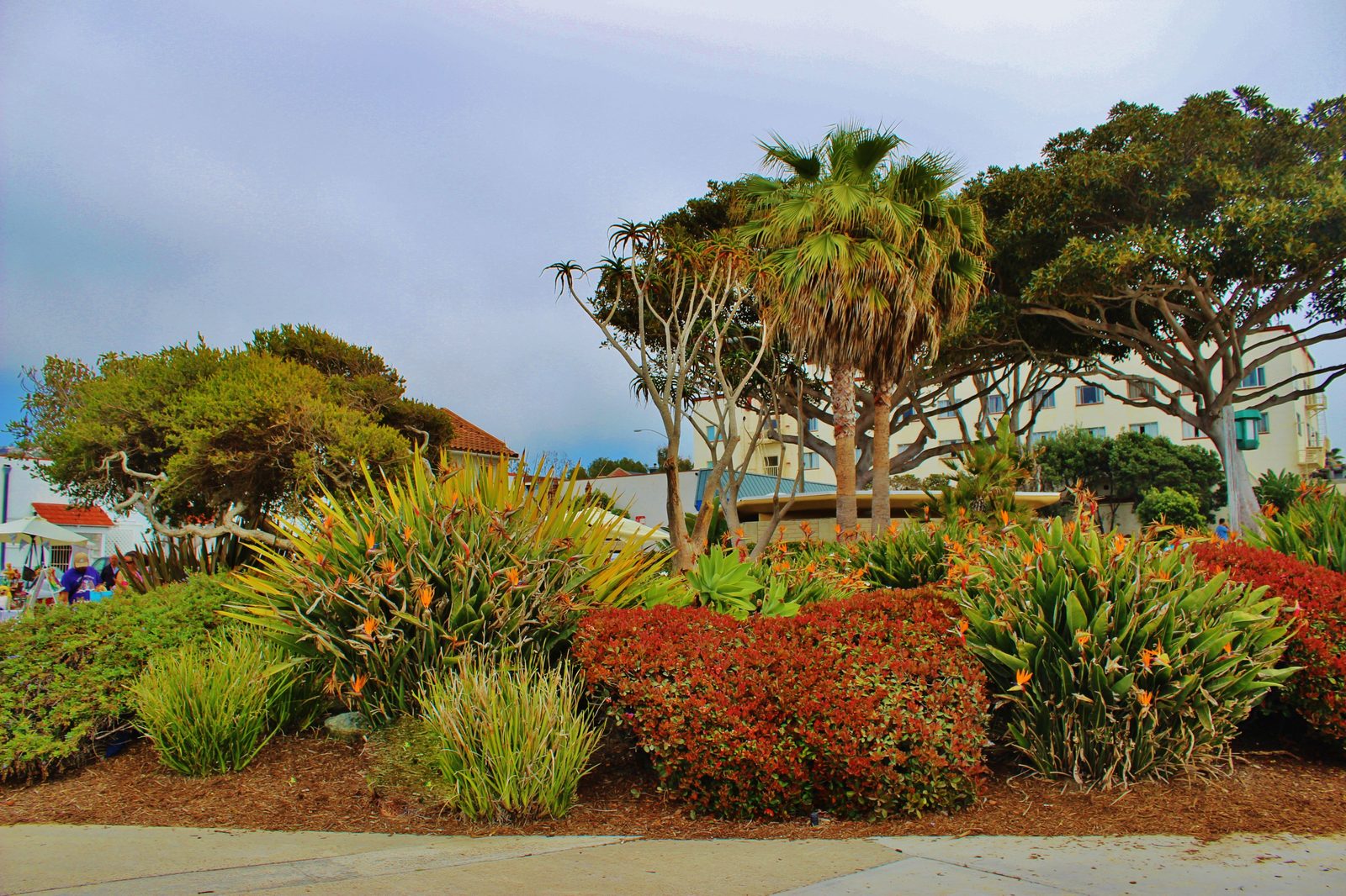 Landscaping in downtown Laguna Beach, near the streets where ocean water pushed in Thursday. The National Weather Service says surf on Orange County beaches is running 3 to 5 feet with sets to 7 feet.