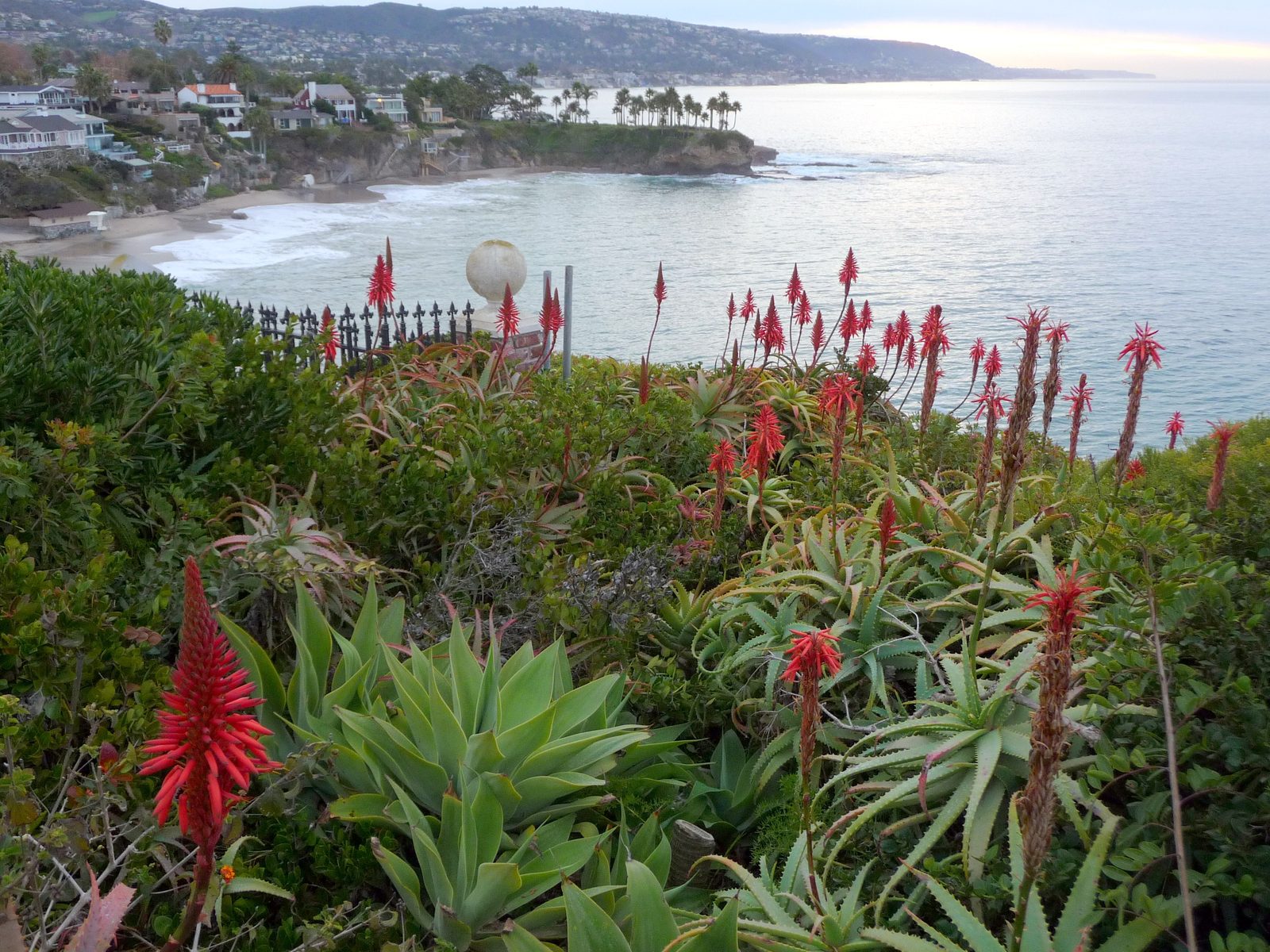 The Laguna Beach coast from the bluffs. An El Nino-fueled Kelvin wave has raised background sea levels 6 to 12 inches off California, amplifying the storm's effects.