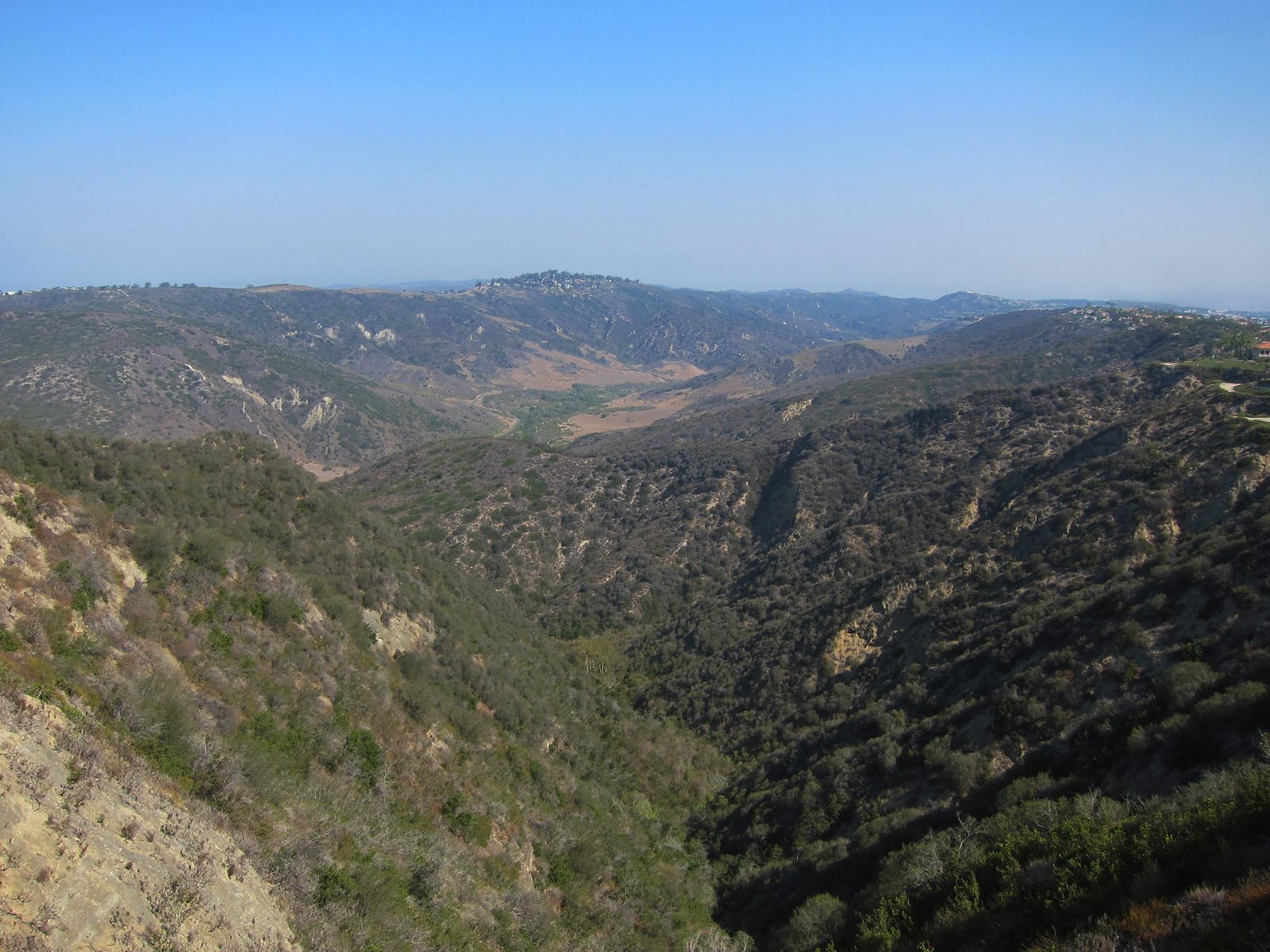 Chaparral-covered slopes in Aliso Canyon, the fuel-heavy terrain the wildfire protection plan targets.
