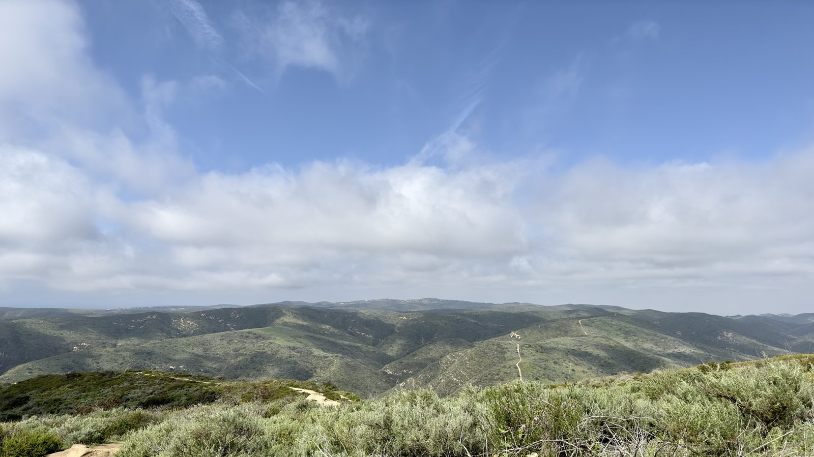 Chaparral hillsides below Signal Peak in Laguna Canyon, where the protection plan calls for expanded fuel breaks.